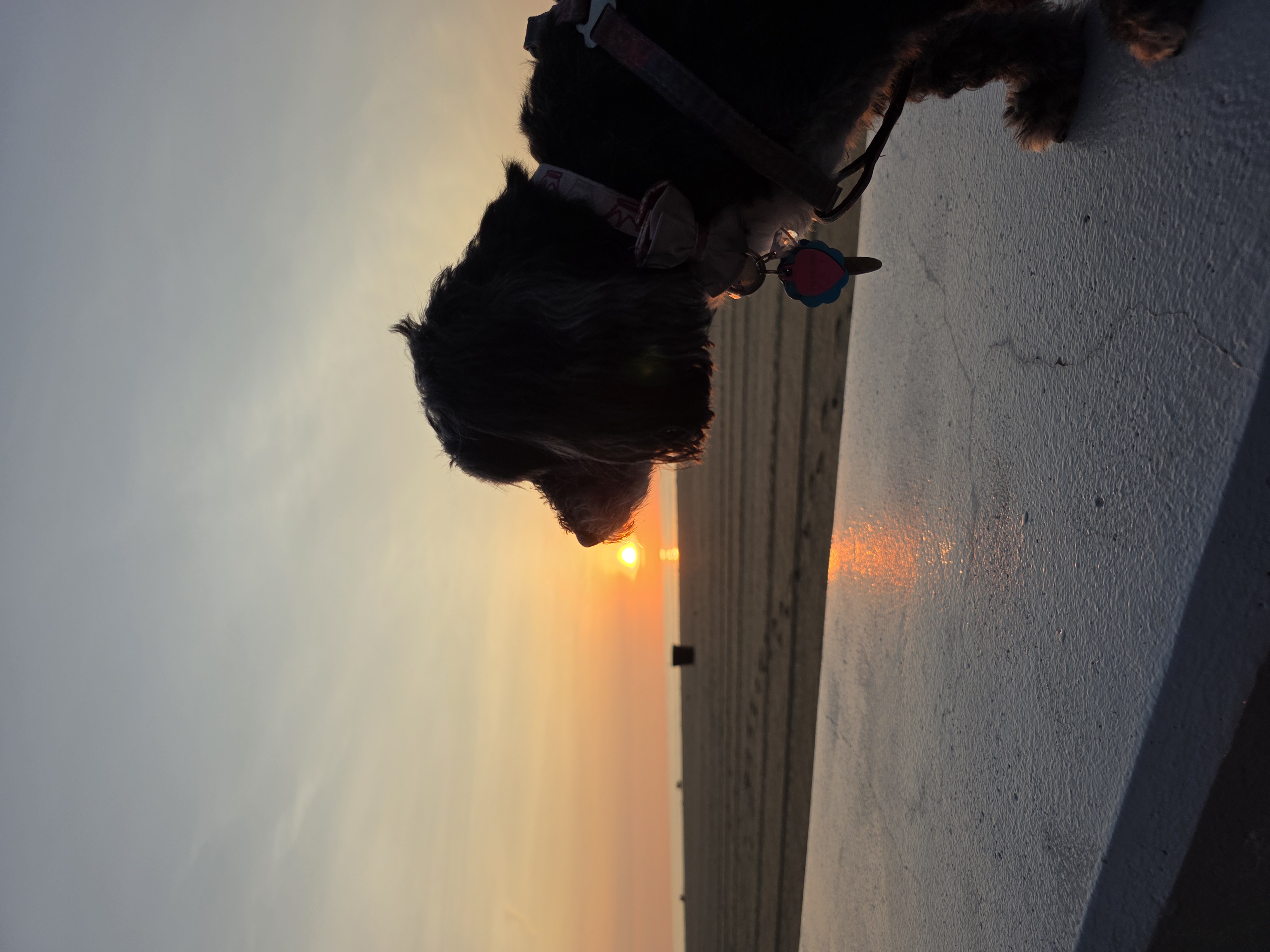 Mili on the Ocean City beach